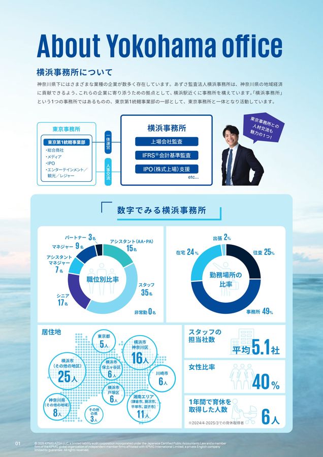 洋書 Tax Haven Banks and US Tax Compliance 洋書 Tax Haven Banks and US Tax Compliance 洋書 Tax Haven Banks